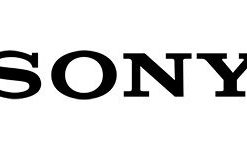 Pin AA Sony